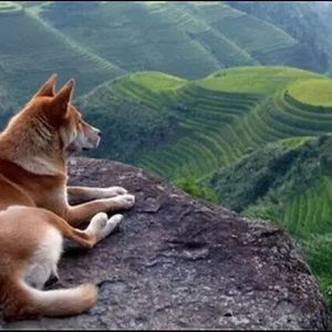 Meet your Posher, Zeze